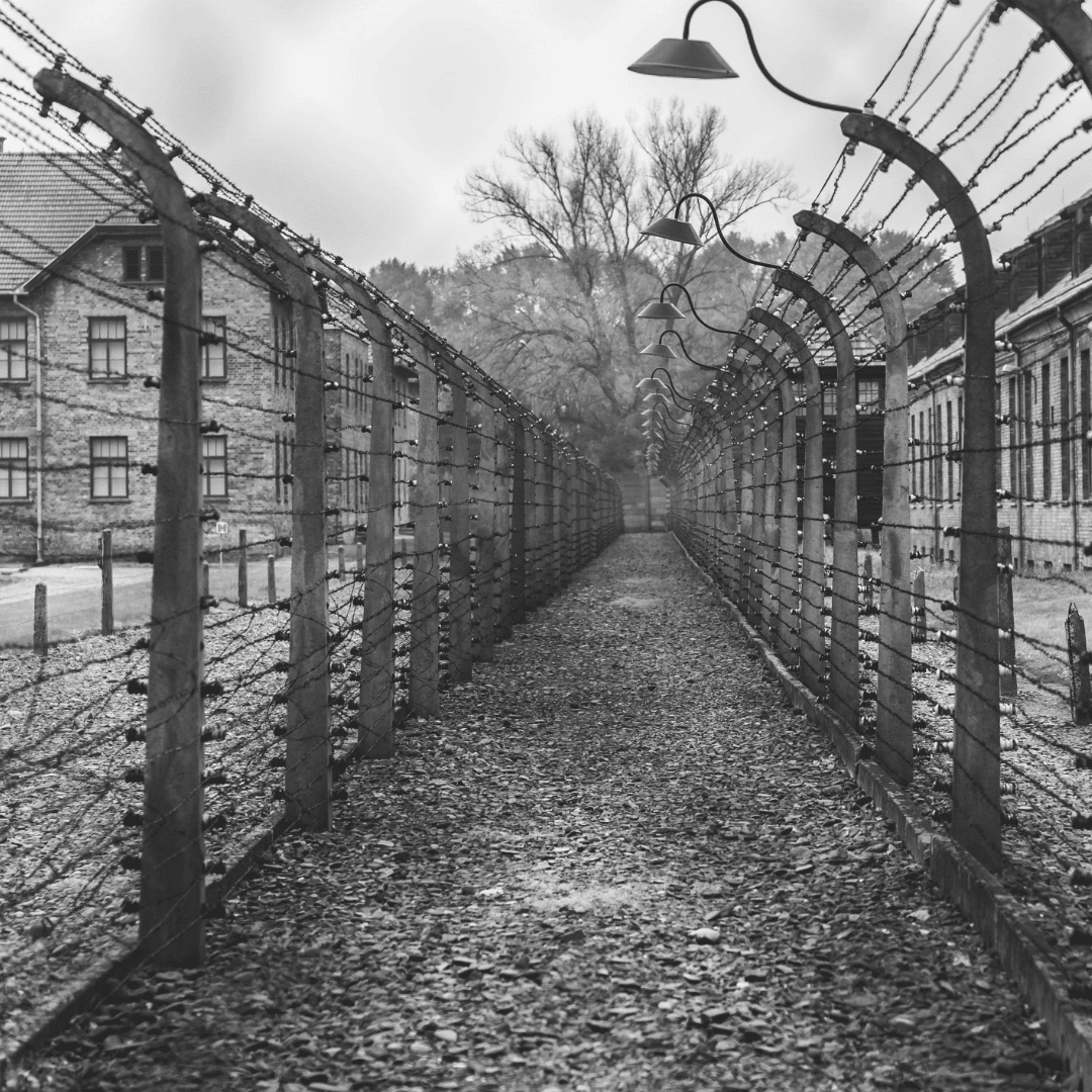 78 Jahre nach Auschwitz – Wir haben in der Aufarbeitung der NS-Verbrechen versagt!